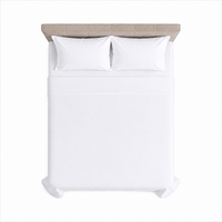 Plain Flat bedsheet 100% Virgin Cotton 300TC