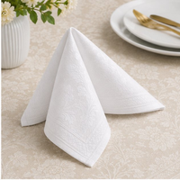 Napkin