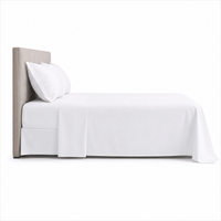 Plain Flat bedsheet 100% Virgin Cotton 300TC - Whitlin - variant_sku