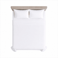Plain Flat bedsheet 100% Virgin Cotton 300TC - Whitlin - variant_sku