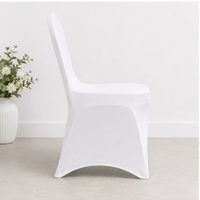 Plain Stretch Chair Cover - Whitlin - variant_sku