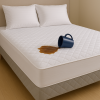 Best Mattress